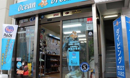 Ocean Dream